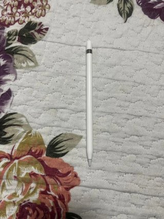 iPad 9ª Gen Plata y Apple pencil