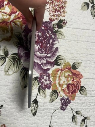 iPad 9ª Gen Plata y Apple pencil