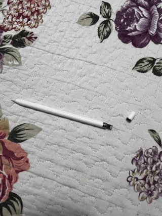 iPad 9ª Gen Plata y Apple pencil