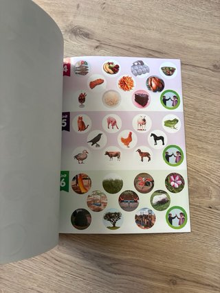 Libro y activity de ingles High Five 1