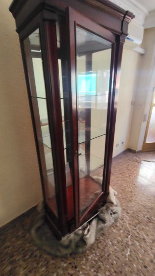 Vitrina de madera y cristal
