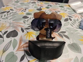 Gafas de Sol Police varios modelos