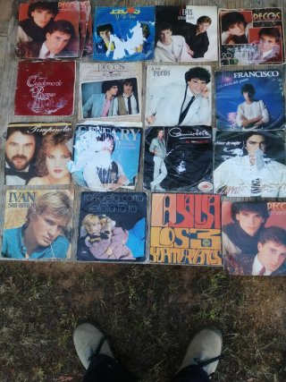 Lote de 15 Vinilos Música Pop Rock Internacional