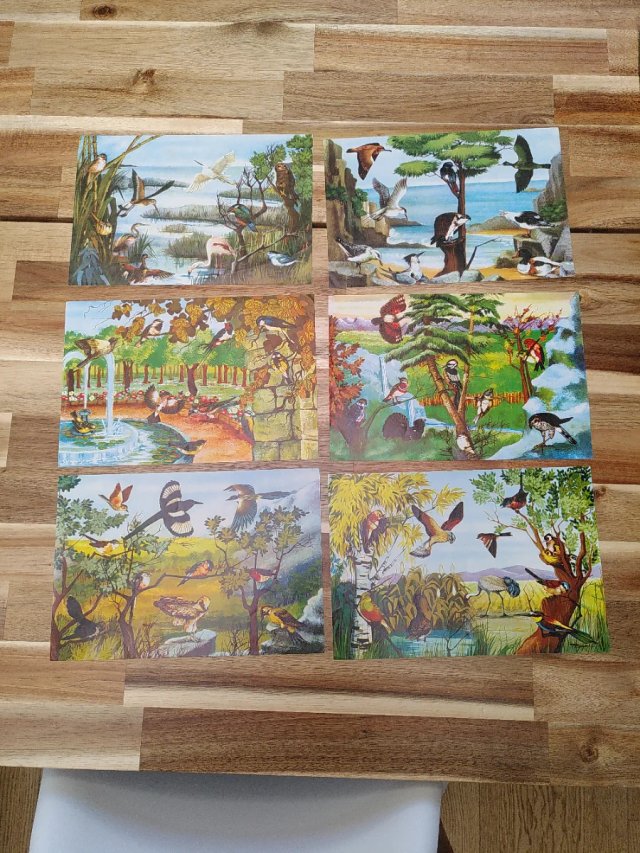 Puzzle 48 cubos. Aves de España
