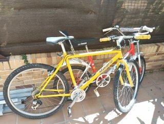 Bicicletas de todos los modelos