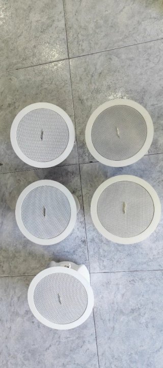Altavoces Bose Freespace DS 16F (Blancos y Negros)