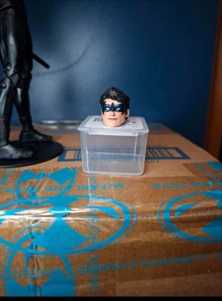 Action Figure McFarlane toys Nightwing (Custom)