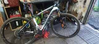Olympia Carbon MTB
