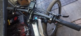 Olympia Carbon MTB
