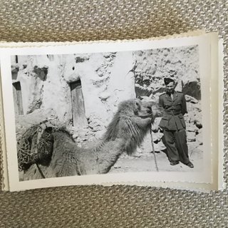 Fotografías antiguas militares y postales de Túnez