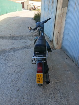 Vespino