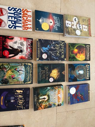 Lote de 12 libros juveniles en ingles