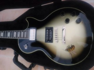 Epiphone Adam Jones Les Paul Custom Art