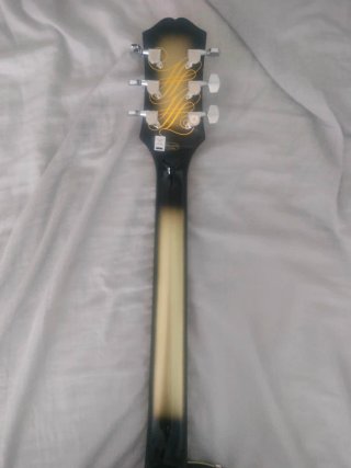 Epiphone Adam Jones Les Paul Custom Art