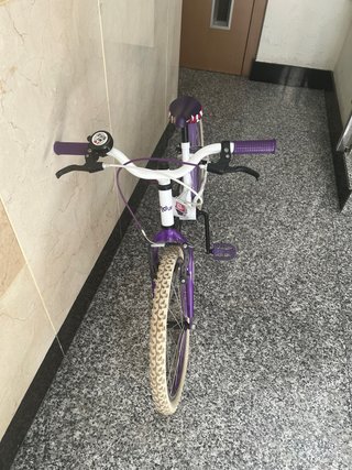Bicicleta infantil Kids Alpha morada