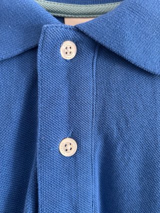 Polo azul Alvaro Moreno
