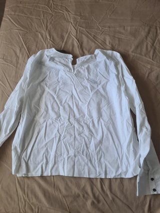 Blusa Zara manga larga bordada
