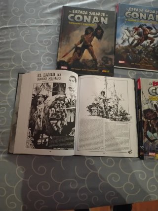 Espada salvaje Conan