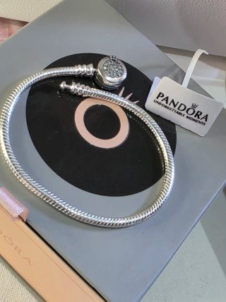 Pulsera Pandora Moments Plata 19cm