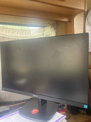 Monitor Philips Negro