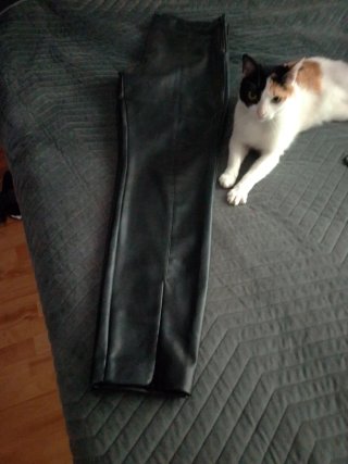 Pantalones Zara efecto piel XL