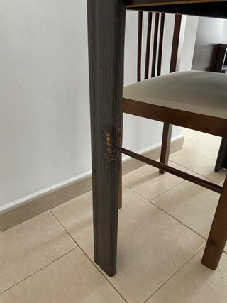 Mesa extensible comedor + 4 sillas