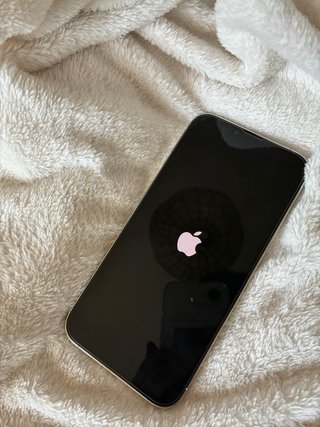 1TB IPHONE 13 PRO MAX