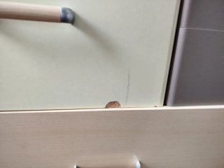 Cama nido con cajonera.