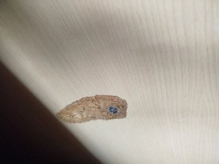 Cama nido con cajonera.
