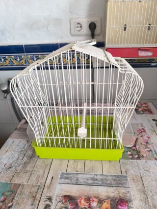 Jaula para pájaros blanca y verde