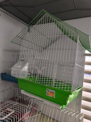 Jaula para pájaros blanca y verde