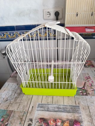 Jaula para pájaros blanca y verde