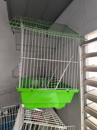 Jaula para pájaros blanca y verde