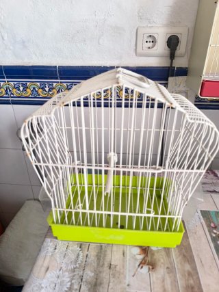Jaula para pájaros blanca y verde
