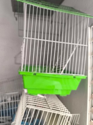 Jaula para pájaros blanca y verde