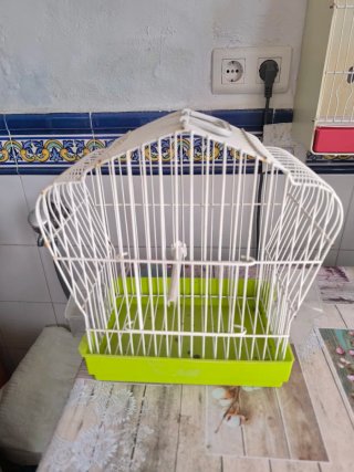 Jaula para pájaros blanca y verde