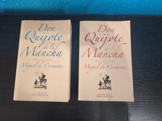 Don quijote de la mancha