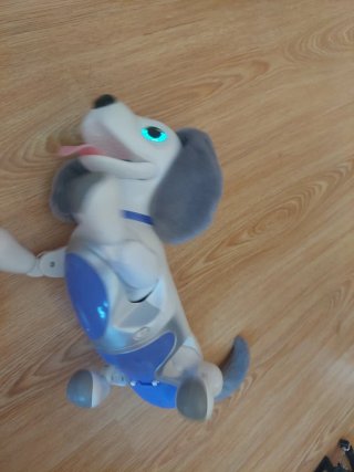 Perro Robot Zoomer
