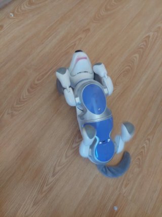 Perro Robot Zoomer