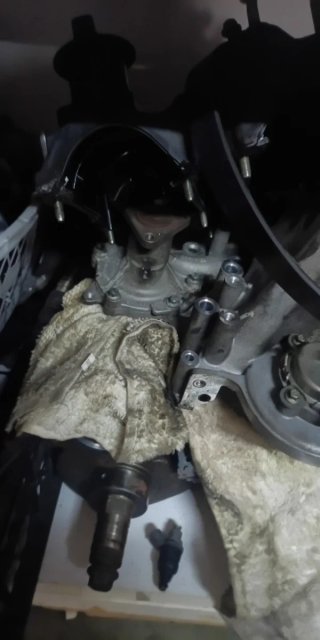 Motor 1.0 Ecoboost 2015