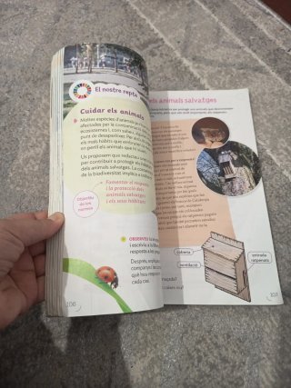 LLENGUA CATALANA 3 PRIMARIA CONSTRUINT MONS
