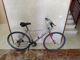 Bicicleta de montaña plateada