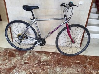 Bicicleta de montaña plateada