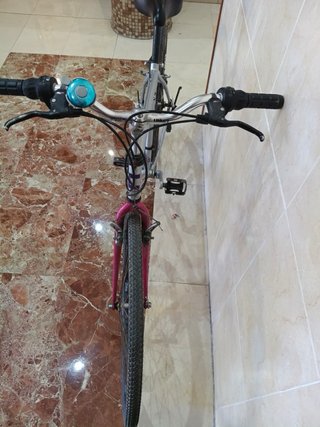Bicicleta de montaña plateada