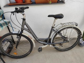 Bicicleta Paseo Coluer