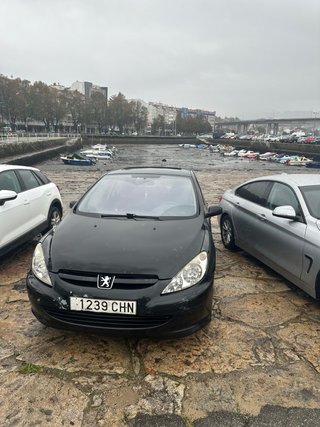 Peugeot 307 2004