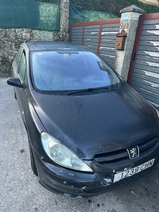 Peugeot 307 2004