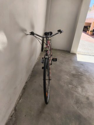 Bicicleta de paseo y montaña