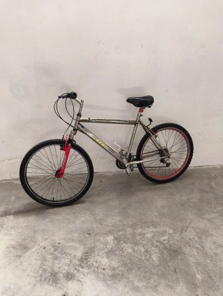 Bicicleta de paseo y montaña