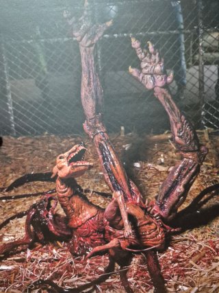 Figura NECA The Thing Dog Creature La Cosa